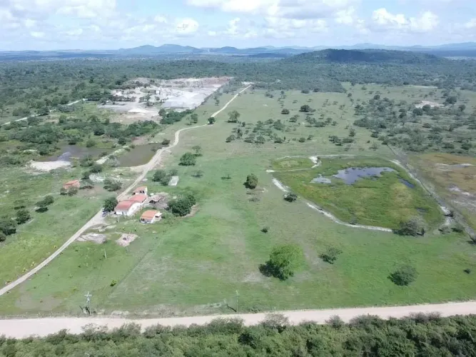 VENDO 100 tarefas de terra há 2KM de Feira de Santana BA depois da pedra ferrada!