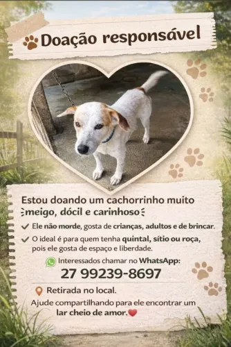 Doação