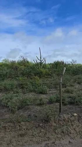 Sítio pocinhos de frente a br