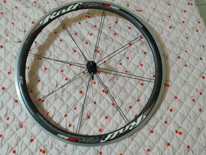 Roda Rolf prima dianteira 