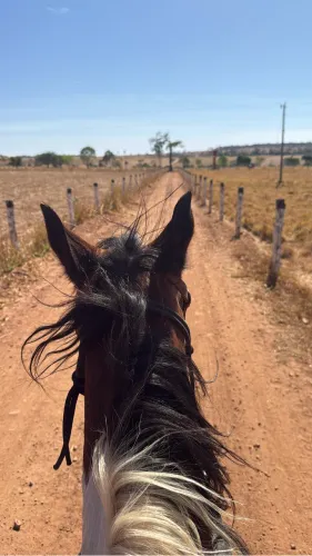 Caseiro / vaqueiro / peão 