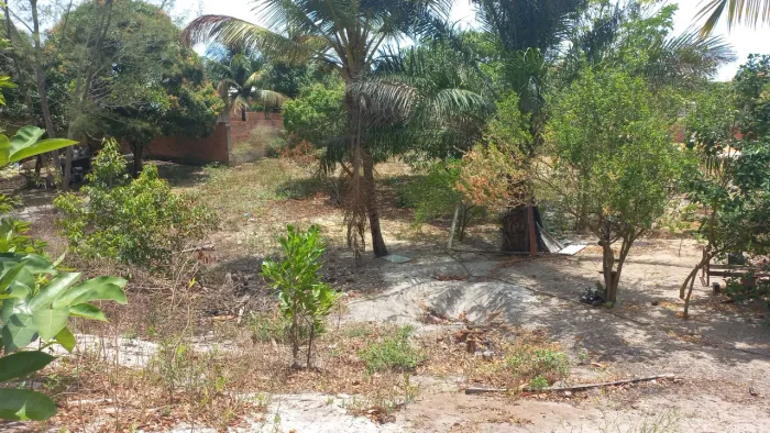Uma linda terra, pra construí e plantar