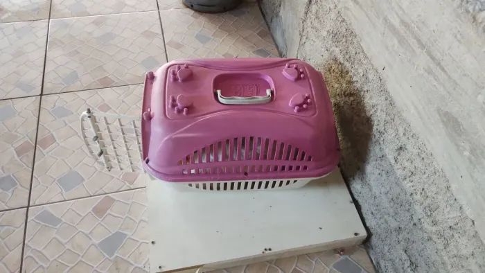 Itens para animais