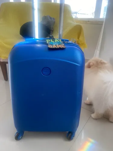 Mala infantil Seanite Escolar