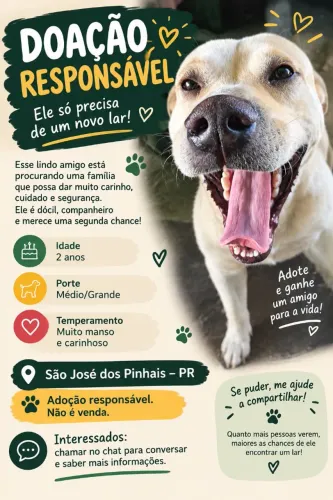 Doando cachorro (scobby)
