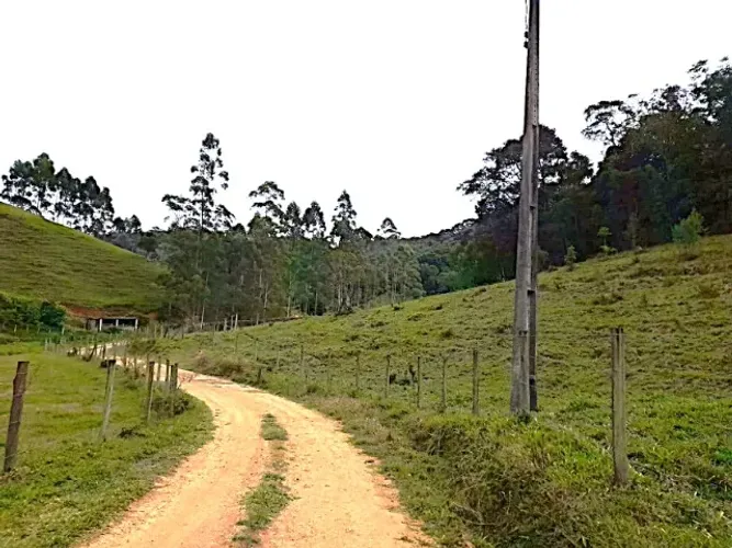 Sítio 27.000 m², Pastagem, Riacho, São Pedro De Alcântara, Rio Forquilhas