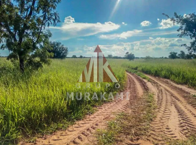 FAZENDA - AMAMBAÍ - MS