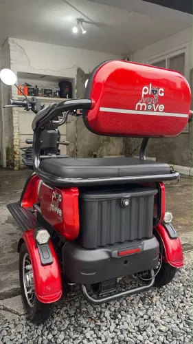 Triciclo Elétrico 800w