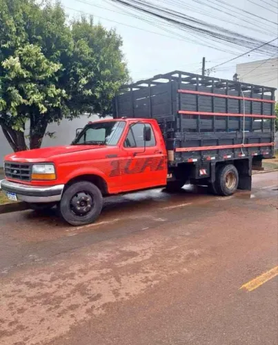 Ford F-4000 boiadeiro