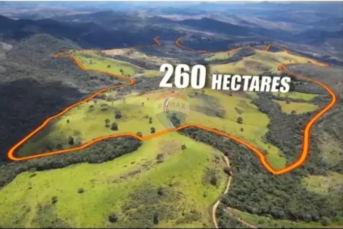 FAZENDA 260 HA SERRO/MG VINHEDO EM PRODUÇÃO