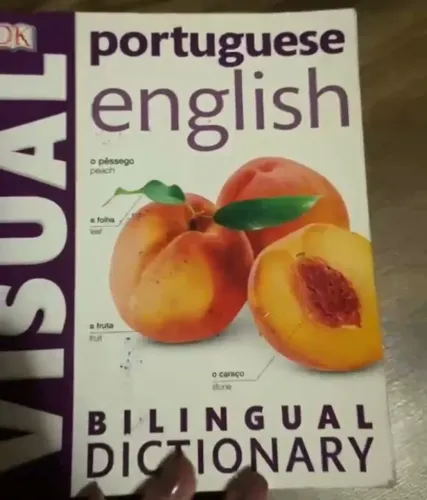 Procuro dicionário português e inglês 