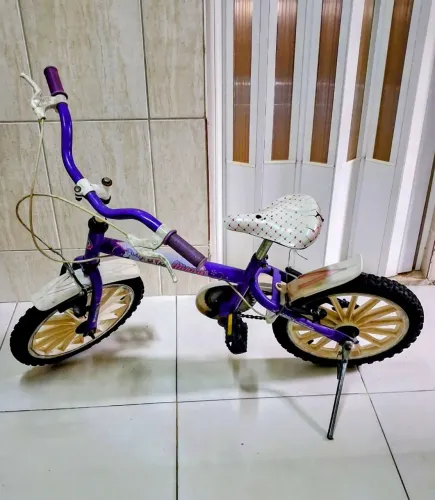 Bicicleta infantil Feminina -pra sair hoje