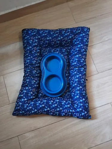 Caminha para dog