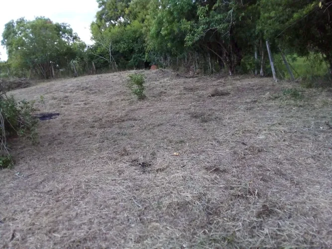 Terreno para Venda em Araçoiaba da Serra, JUNDIACANGA