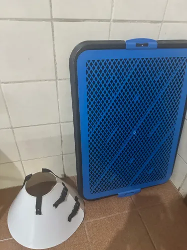 Doação