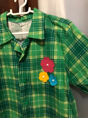 Duas camisas juninas infantis NOVAS 