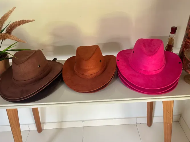 Chapéus Boiadeira disponível