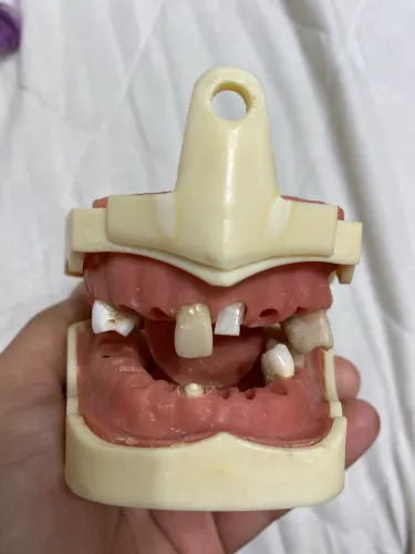 Manequim odontológico para endo (usado) Dent Art