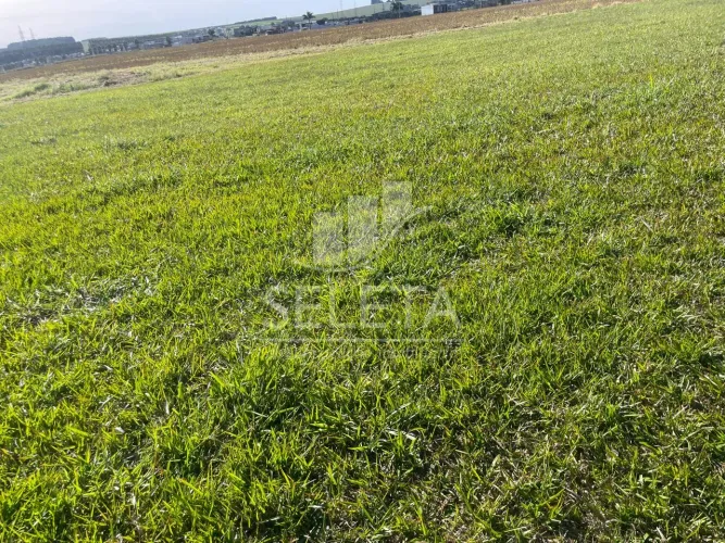 Terreno à venda,no Recanto Tropical. - proximo do Poli esportivo do Beletti, CASCAVEL - PR
