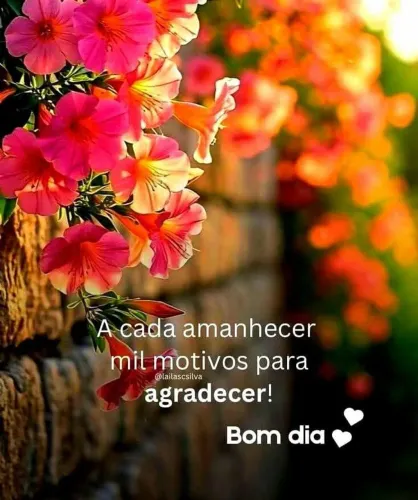 Pastor alemão