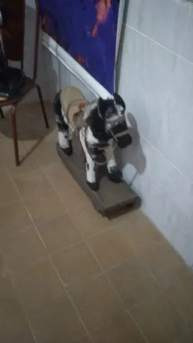 Vendo brinquedos infantil 