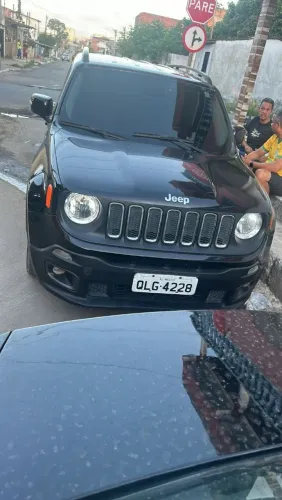 Renegade 2016 longitude 