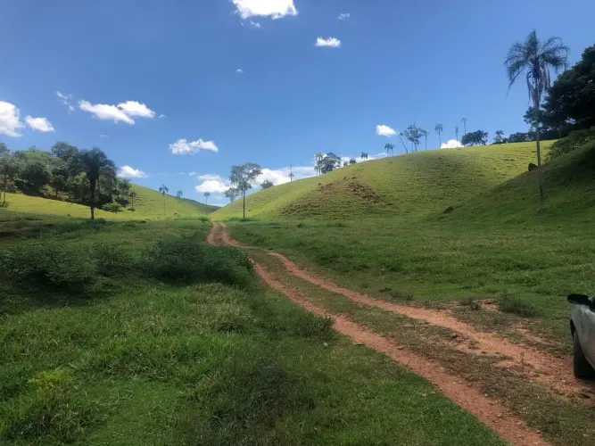 FAZENDA EM PETROLINA DE GOIÁS - 27 ALQUEIRES