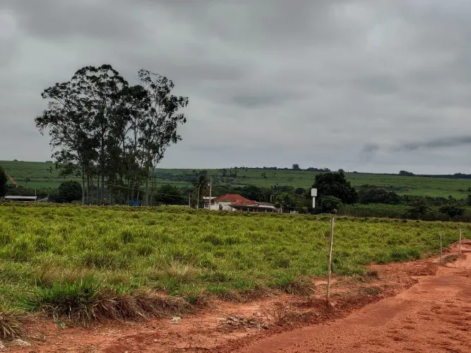 José Bonifácio 66 alqueires na  Pecuária 