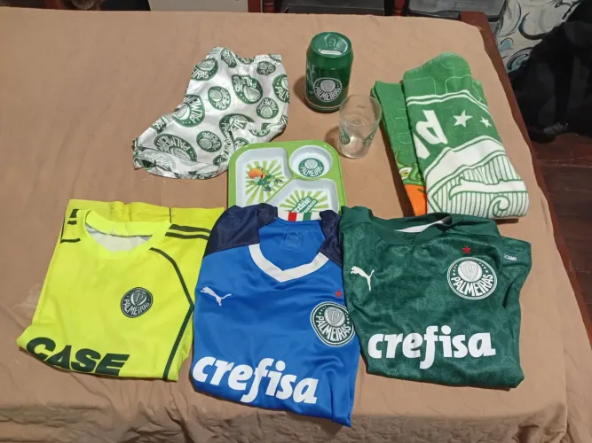 Camisetas do palmeiras número 12