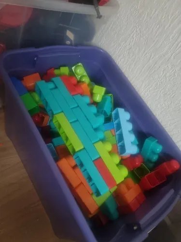 Brocas infantil crianças