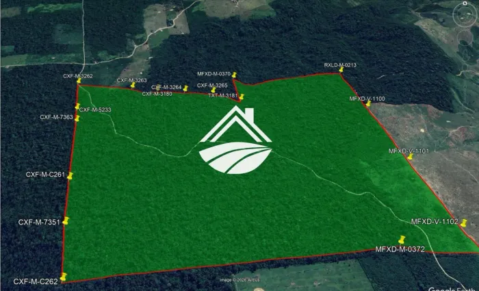 Fazenda para Venda em Brasil Novo