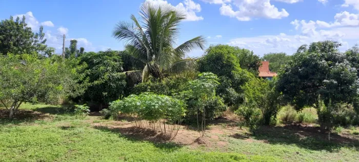 Vendo sítio próximo a São Gonçalo dos Campos 