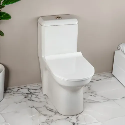 Bacia Sanitária Monobloco com Assento Lucca Branco - Firenzi