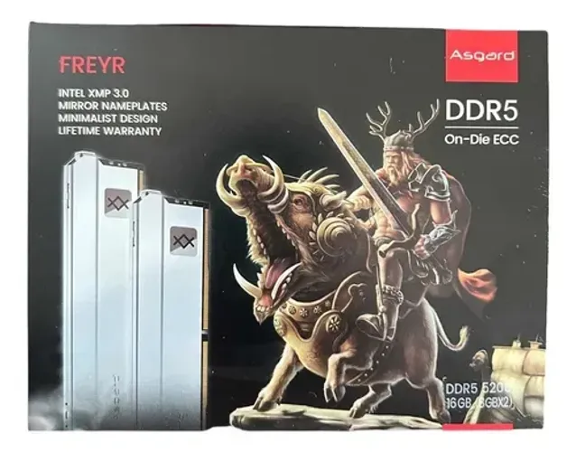 (Produto Novo) Asgard Freyr Memória RAM DDR5 16gb (Com Garantia)