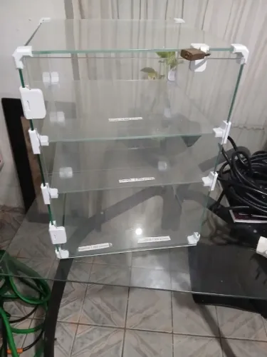 Vitrine de vidro perfeita