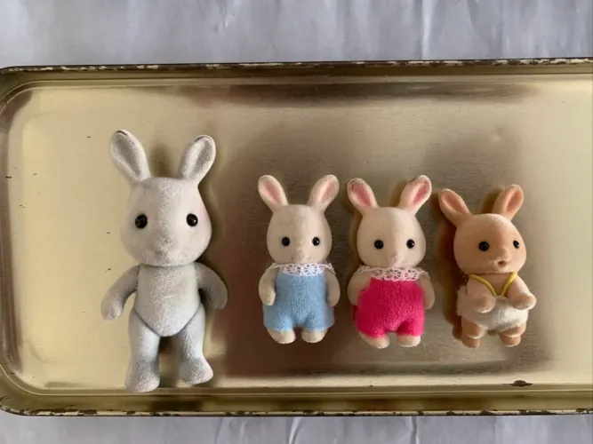 Kit sylvanian families