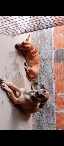 Doação