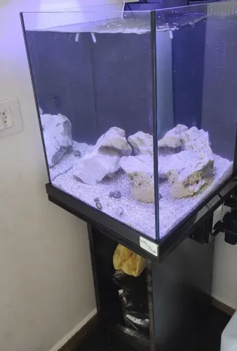 Aquário marinho 50L