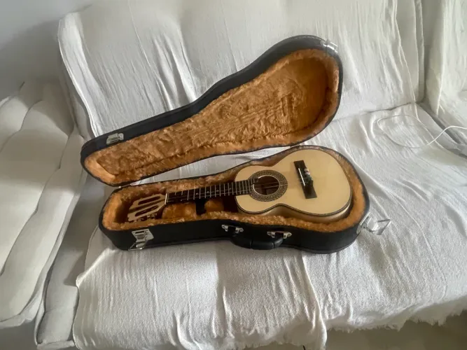 Case pra cavaquinho 