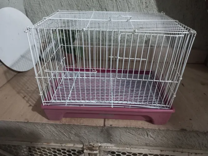 Gaiola 