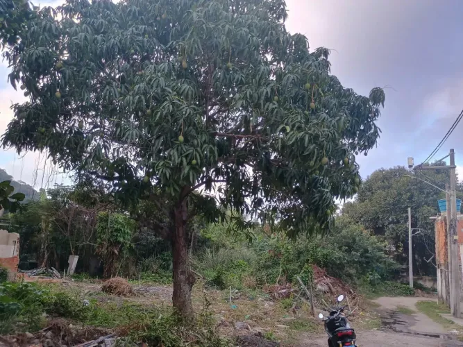 Terreno plano Sepetiba medidas 9 metros frente e fundos por 22 metros comprimento, todo