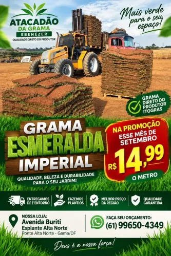 Grama esmeralda imperial 14,99 o metro quadrado