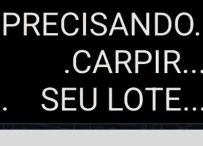 Lotes carpinado