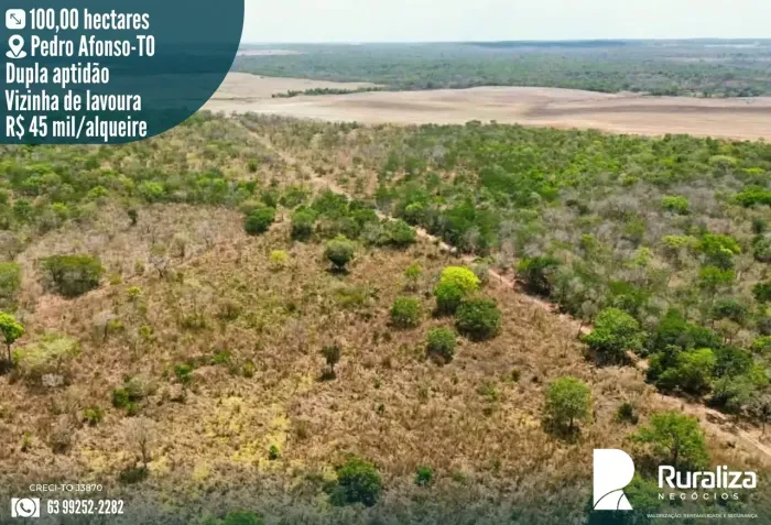 100 HA | 50 HA FORMADOS | RELEVO PLANO | R$ 900 MIL