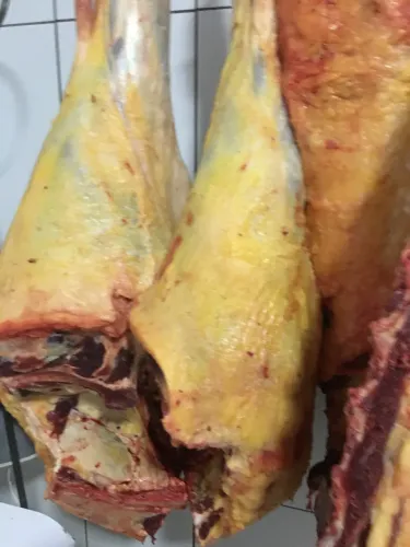 Preciso de um açougueiro (a)