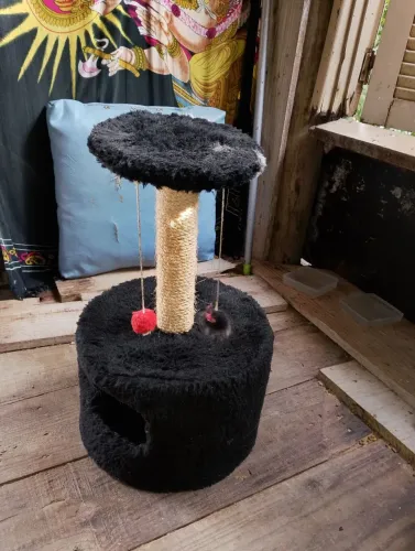 Brinquedo para gatos filhotes.s 