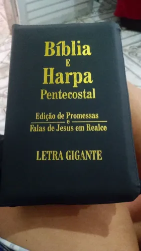 Bíblia nova letra gigantes com harpa