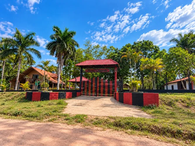 Sítio no Ramal do Urubuí com Nascentes, Lago e Piscina Natural - Presidente Figueiredo