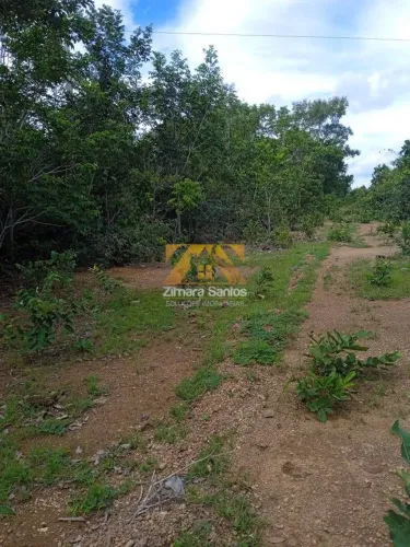Fazenda com 1 Quarto à Venda, Setor Central - Araguaçu