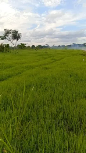 Vendemos um sitio